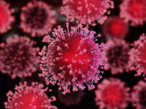 Can Coronavirus ‘Concerns’ Trigger Business Interruption Coverage?