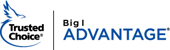 Big I logo.gif