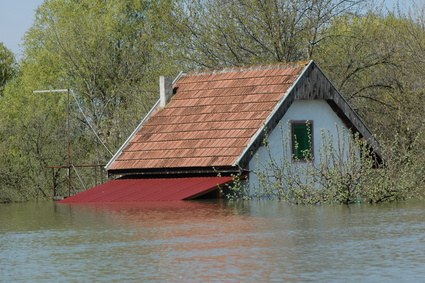 floodart.jpg