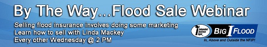 floodwebinarbanner.jpg