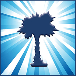Palmetto Partner program logo
