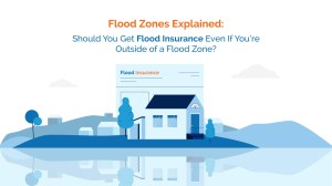 Image of flood zones