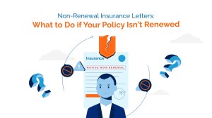 new-renewal insurance letter